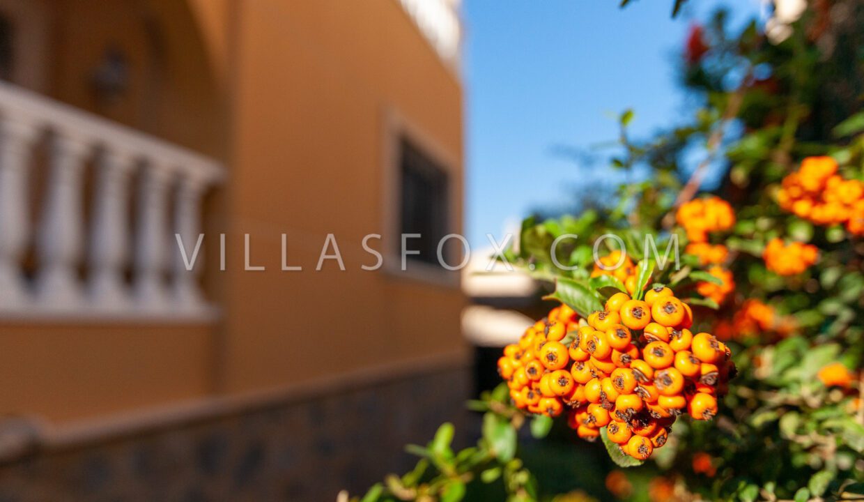 1059_el_galan_luxury_villa_with_pool_for_sale_from_villas_fox-32