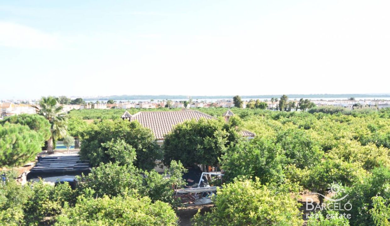 110067_w_xl