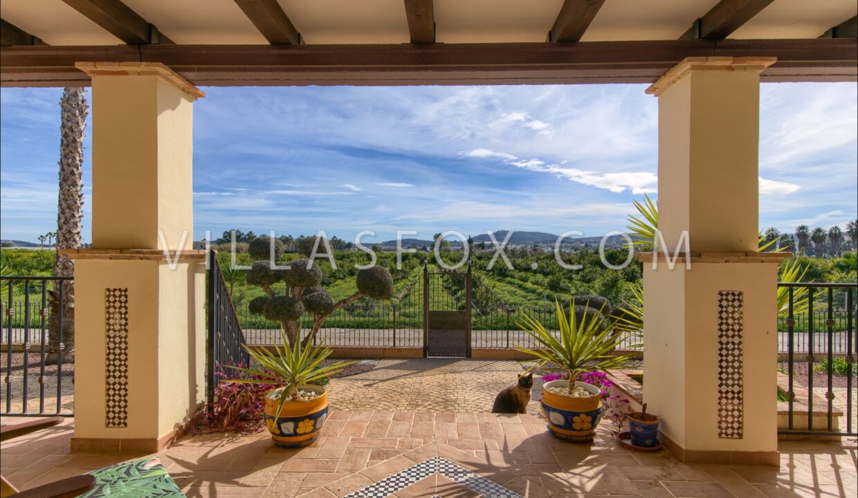 1120_1_orihuela_finca_bigastro_jacarilla_for_sale_villas_fox-41