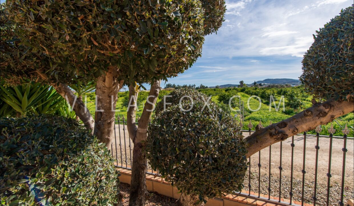 1120_1_orihuela_finca_bigastro_jacarilla_for_sale_villas_fox-51