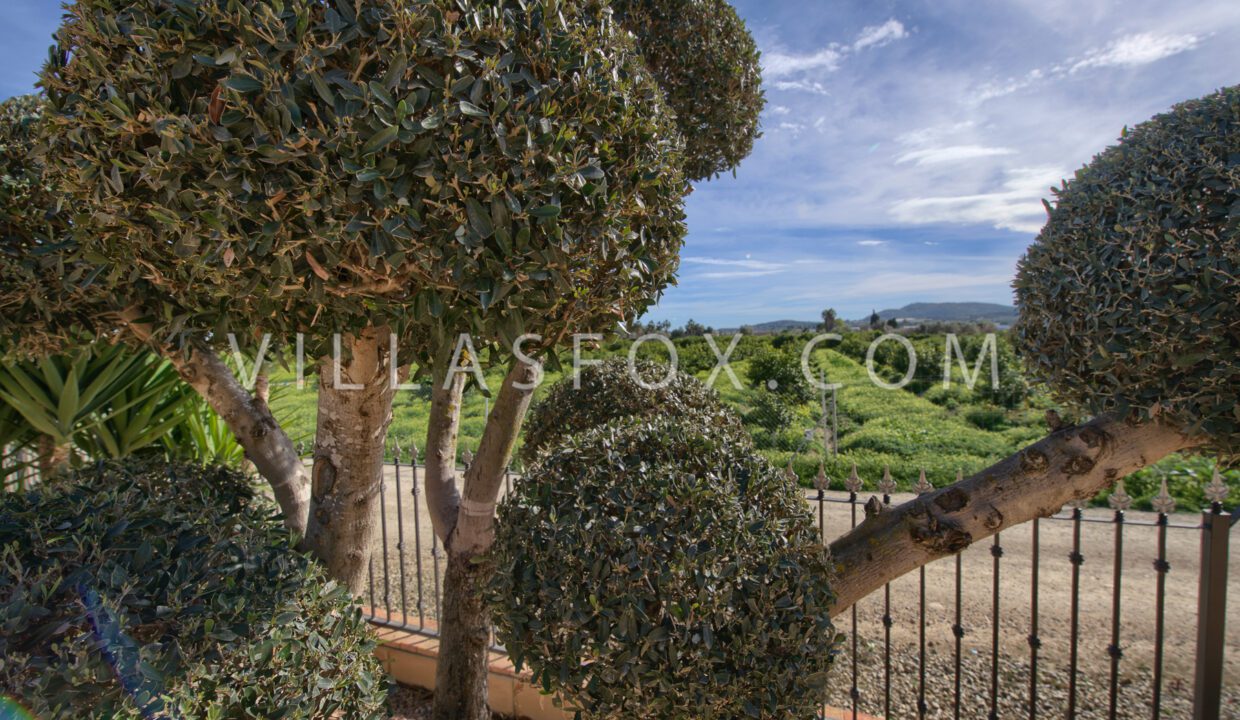 1120_1_orihuela_finca_bigastro_jacarilla_for_sale_villas_fox-52