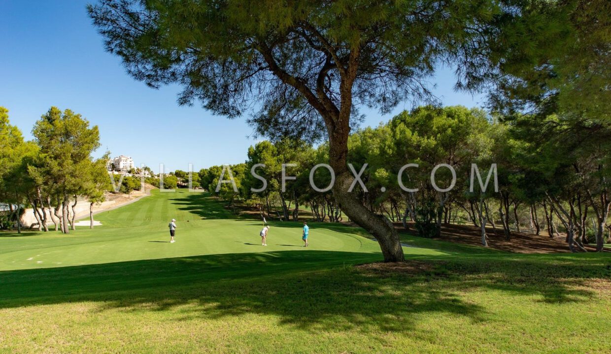 1122_27_san_miguel_de_salinas_apartment_in_town_centre_by_villas_fox_best_estate_agents_