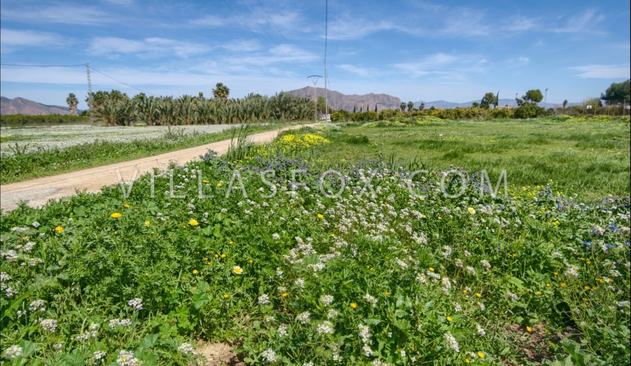 1131_1_jacarilla_3_bedroom_apartment_for_sale_villas_fox-26