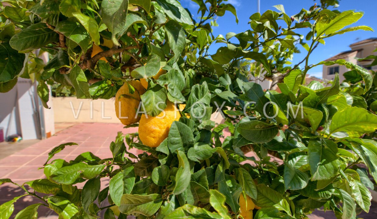 1133_lakeview_mansions_villa_for_sale_san_miguel_de_salinas-2