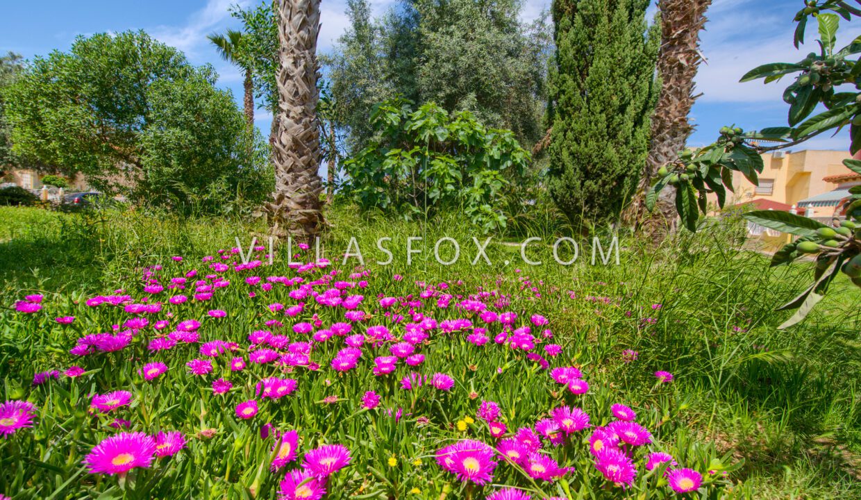 1140_salado_el_limonar_ground_floor_apartment_with_pool-56