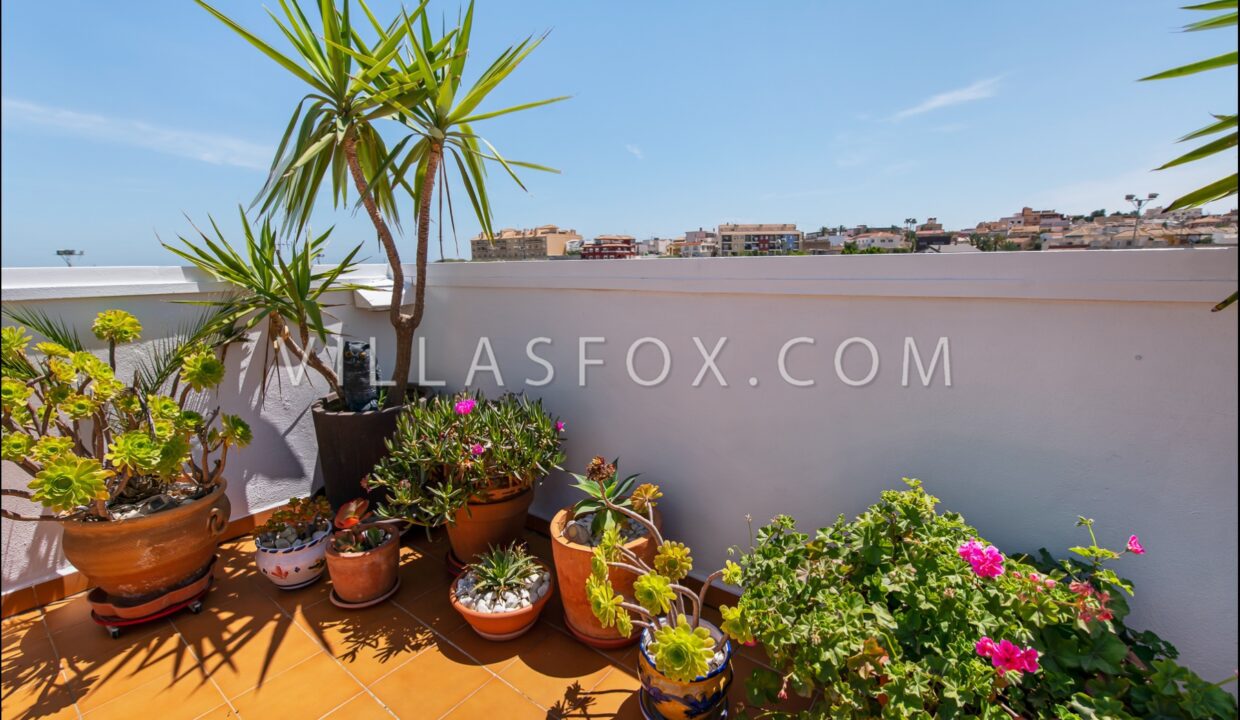 1146_balcon_de_la_costa_blanca_san_miguel_de_salinas_home_with_garden_for_sale-70