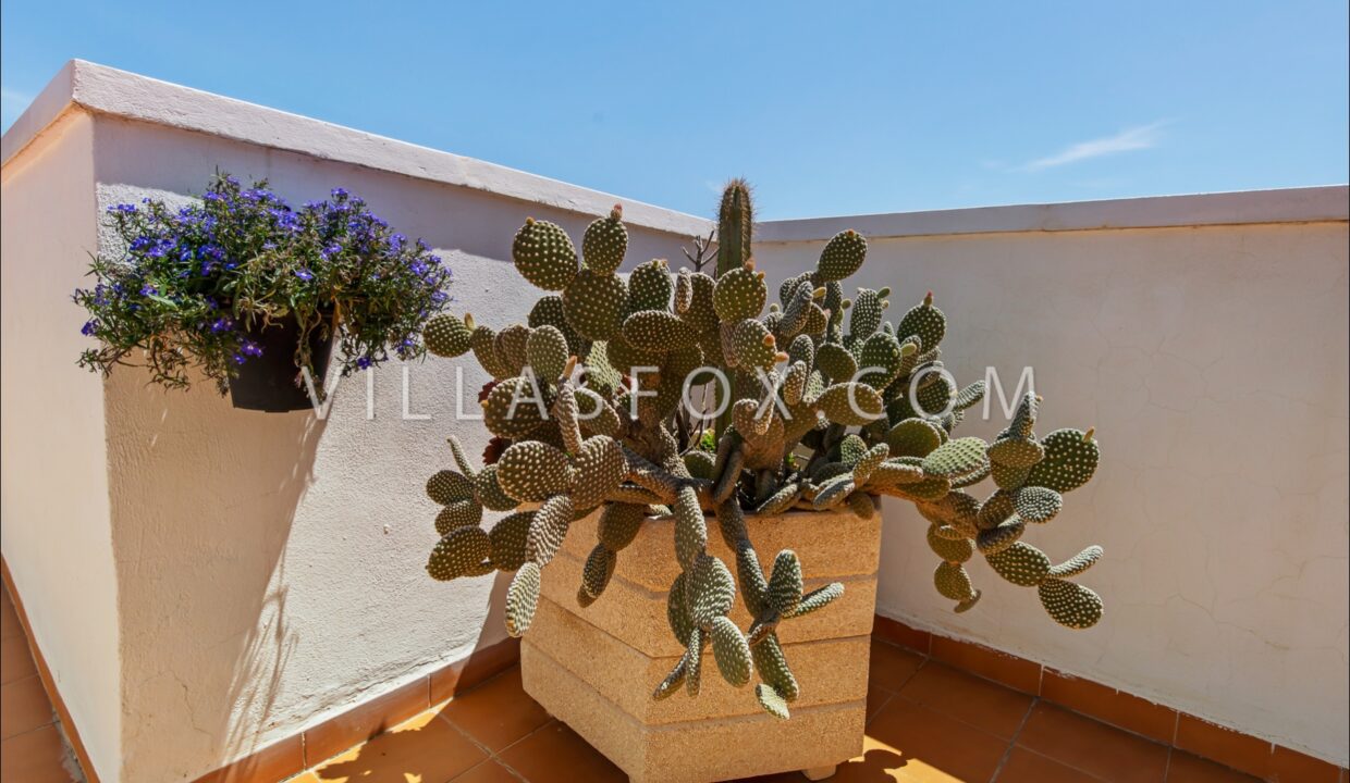 1146_balcon_de_la_costa_blanca_san_miguel_de_salinas_home_with_garden_for_sale-78