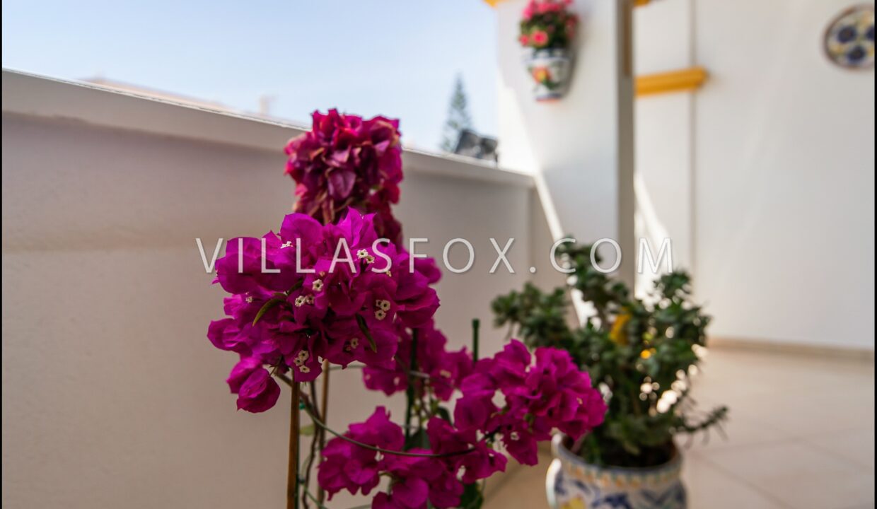 1153_costa_paraiso_iv_top-floor_apartment_san_miguel_de_salinas-12