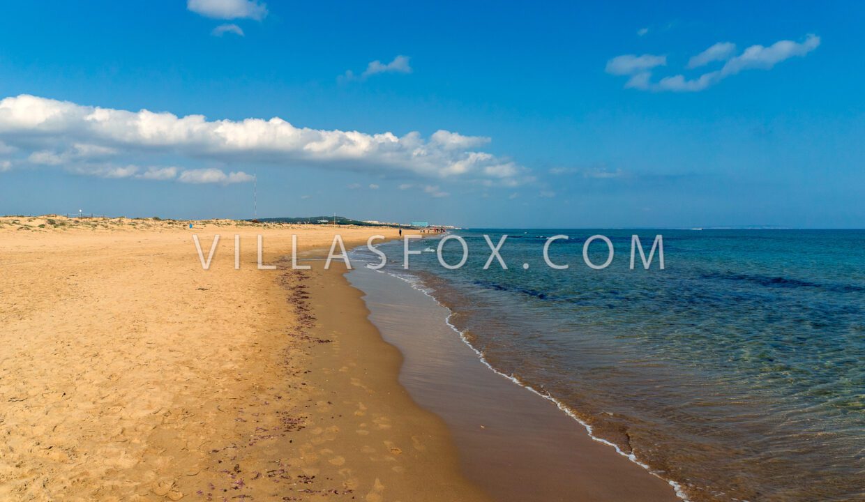 11591655108974DSC09319