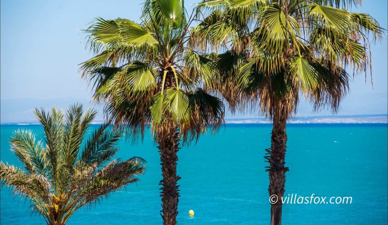 1159_la_mata_cabo_cervera_barlovento_apartment_for_sale_sea_view-16