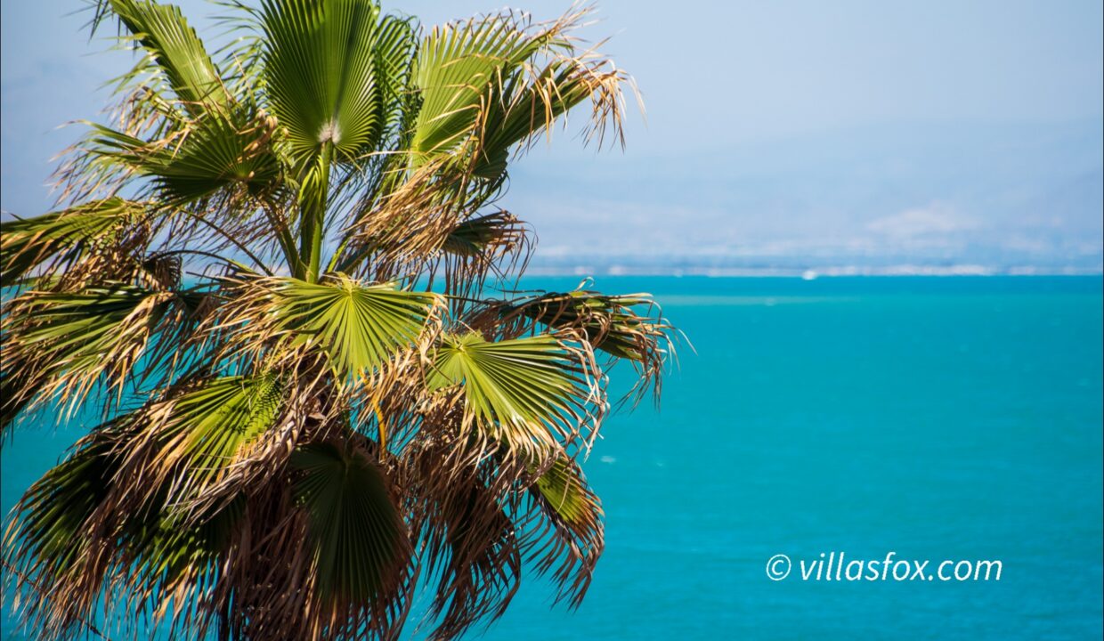 1159_la_mata_cabo_cervera_barlovento_apartment_for_sale_sea_view-18