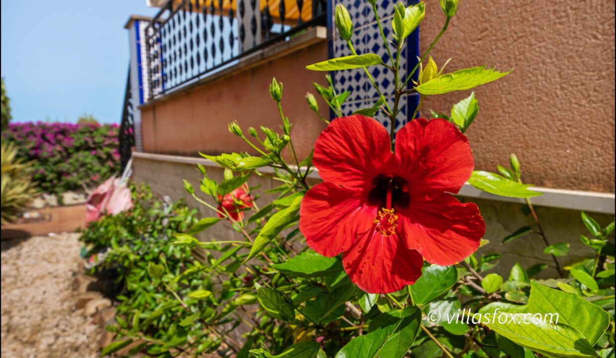 1161_la_canada_mirador_de_san_miguel_de_salinas_villa_a_la_vente-32