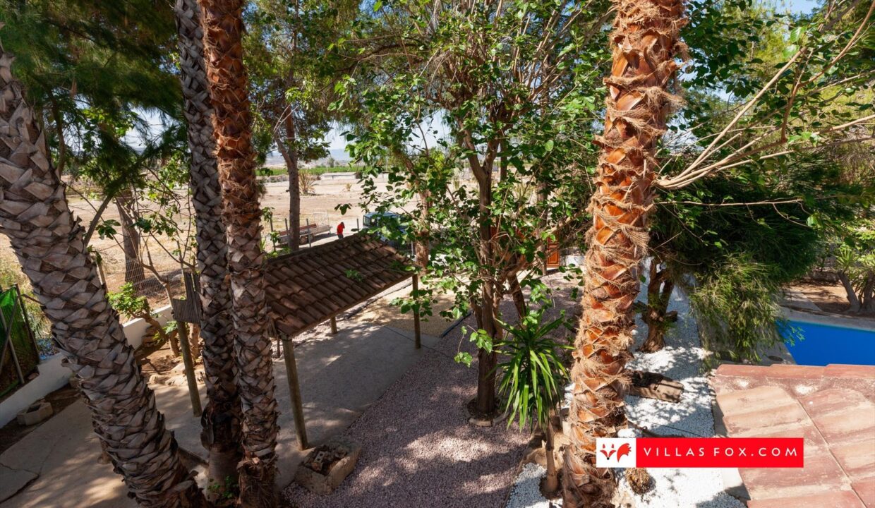 1362_32-beniel_orihuela_casa_de_campo_chalet_de_lujo_con_piscina-30