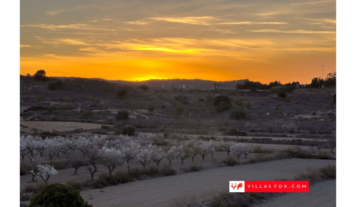 1378_agriculture_montaine_view_dusk_san_miguel_de_salinas_villas_fox