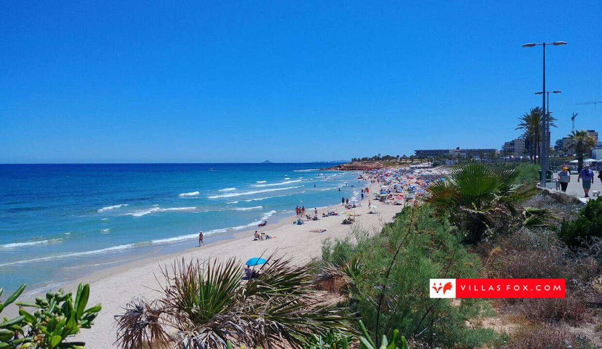 1406_mil_palmeras_beach