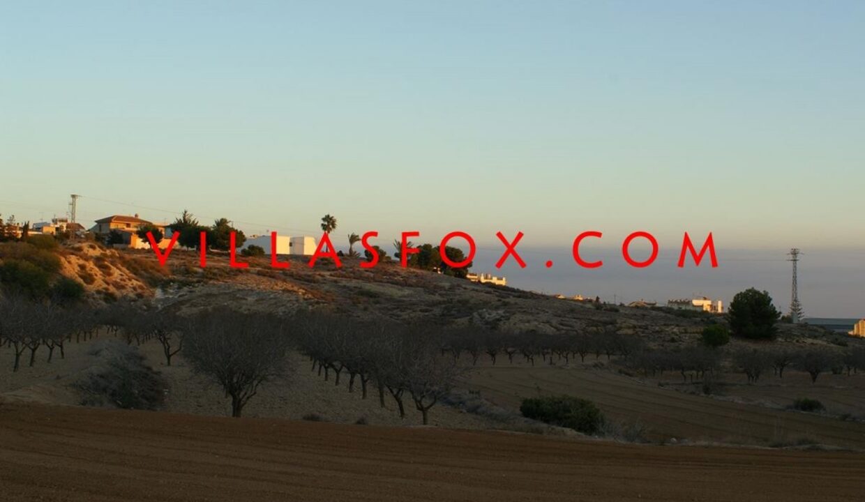 1417751_588965564509264_627242826_o5b1a365cecf685f1067c30f35e