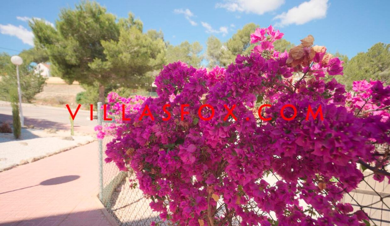 15_San_Miguel_de_Salinas_Apartment_in_Mirador_de_San_Miguel_by_Villas_Fox_best_estate_agents_610fd8c23b9b4