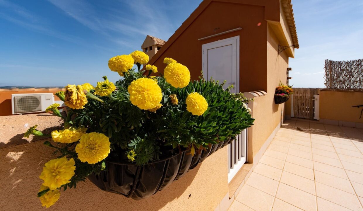 18_San_Miguel_de_Salinas_Apartment_in_Town_centre_by_Villas_Fox_best_estate_agents_6169875e2a79f