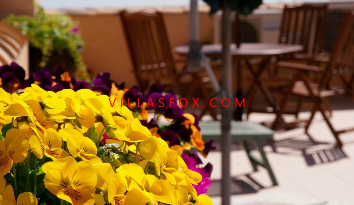 24_San_Miguel_de_Salinas_Apartment_in_Town_centre_by_Villas_Fox_best_estate_agents_61102cecdded3