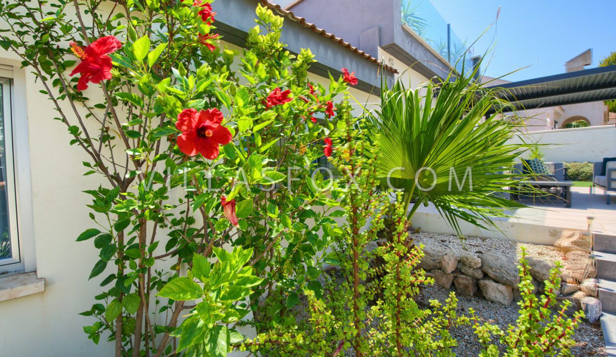 765_las_comunicaciones_villa_for_sale_san_miguel_de_salinas-09