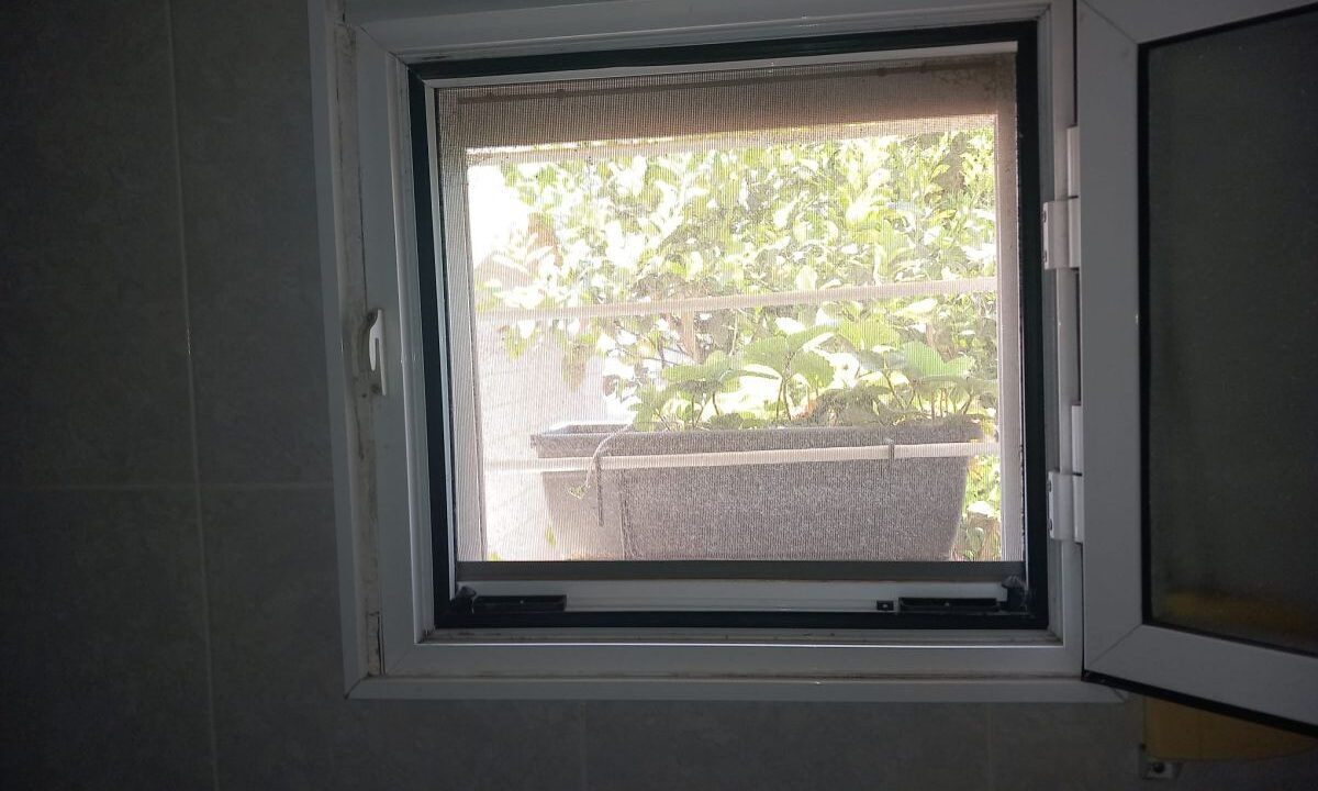 81889166_17