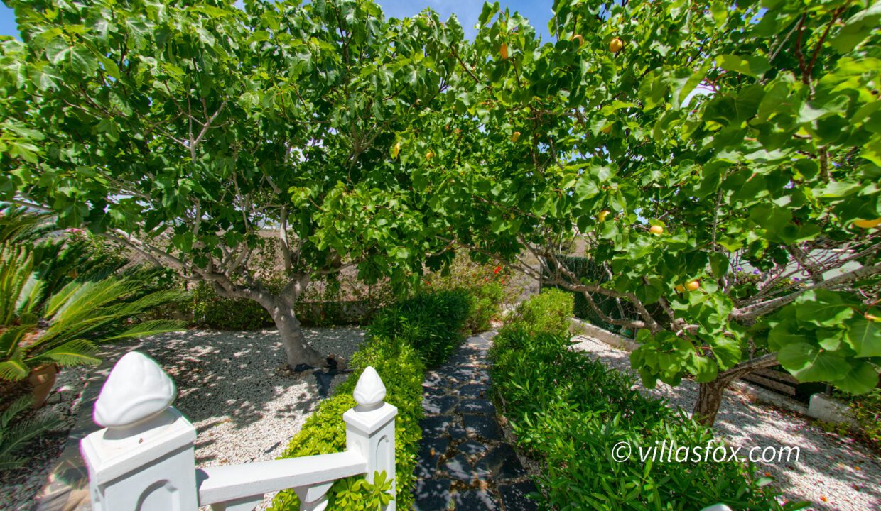 929_villas_maria_las_comunicaciones_torrestrella_villa_for_sale-65