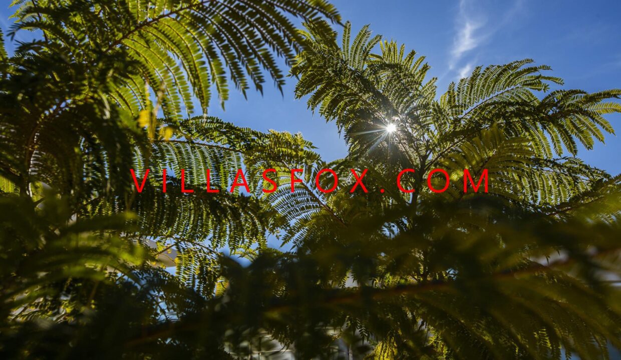 953_597-golf_apartments_orihuela_costa_entre_naranjos_73