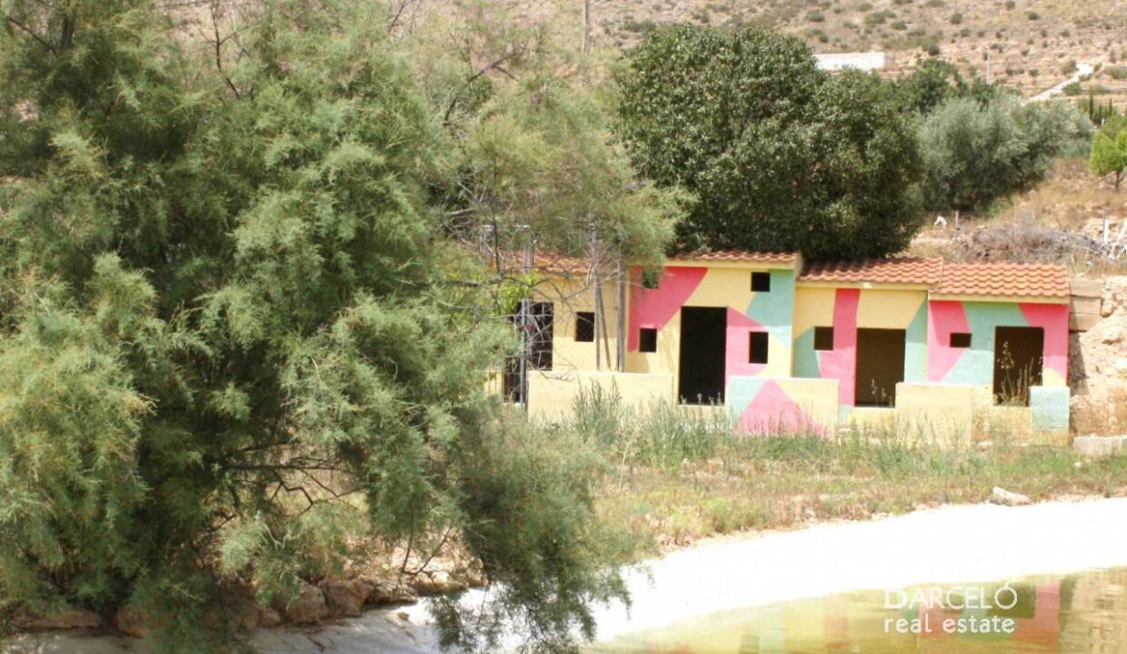 98269_w_xl