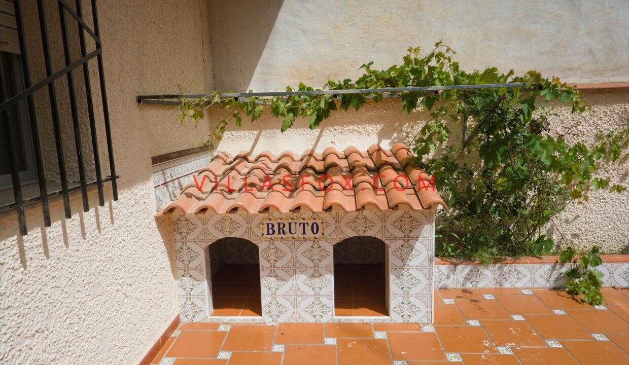 DSC00122_Copy__Copy_5d36ff35bbcd2