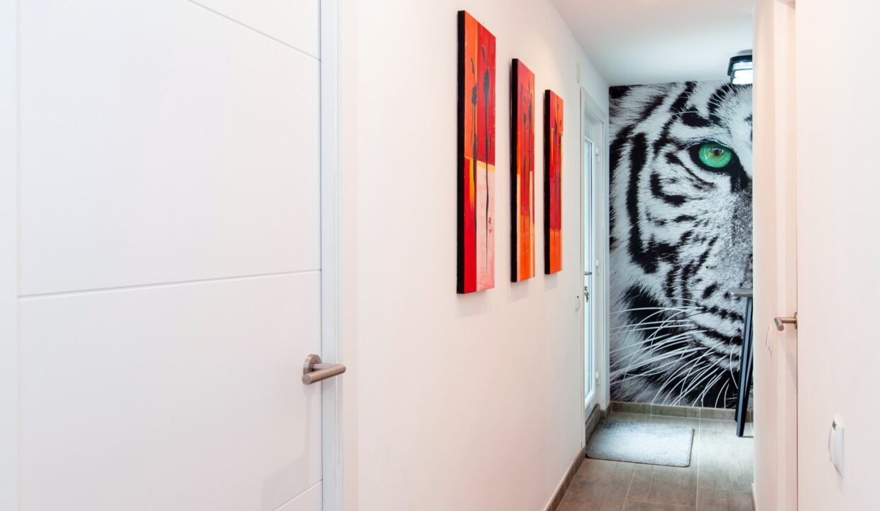 DSC02473616ac896e5b1c