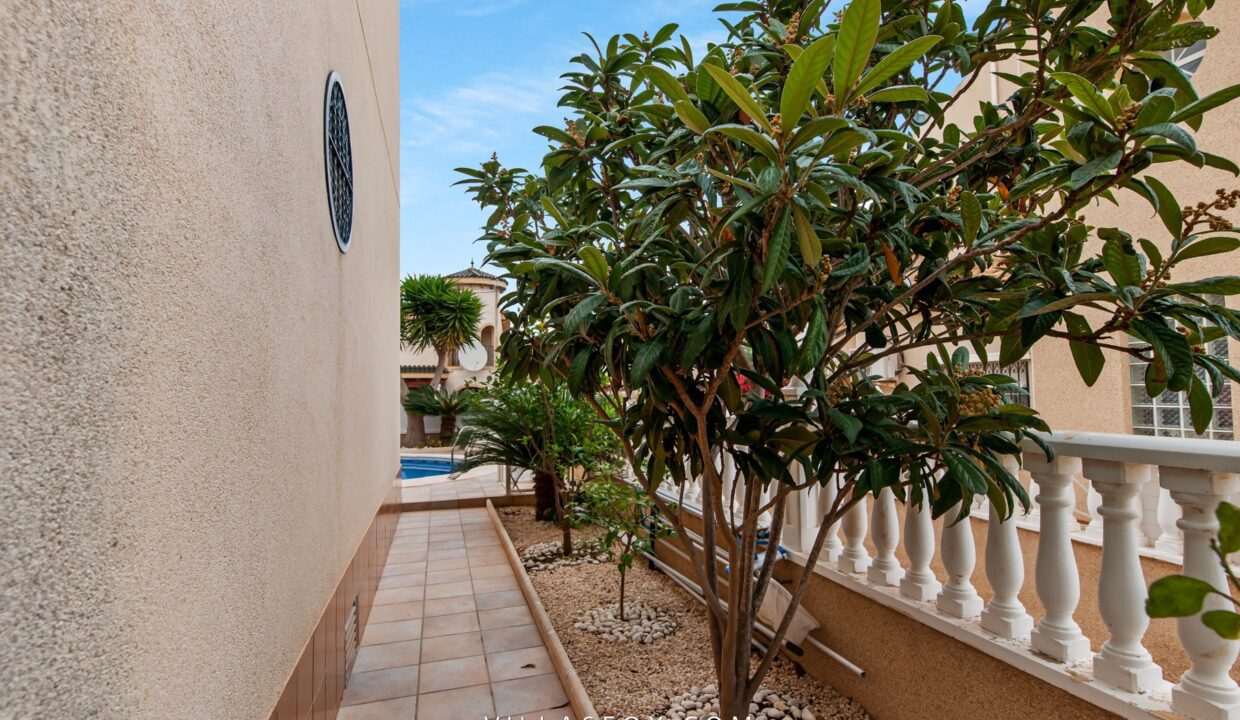 DSC03944-2618288cb0ff4f