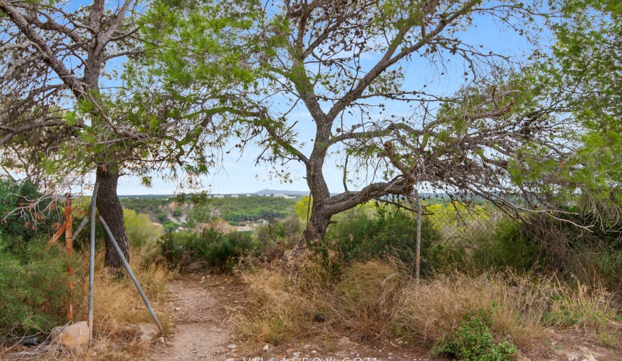 DSC03969-2618288cf91ac6