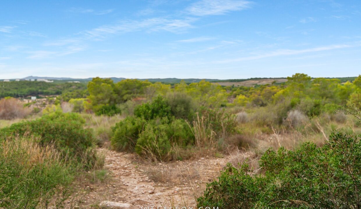 DSC03972-2618288ce7f100