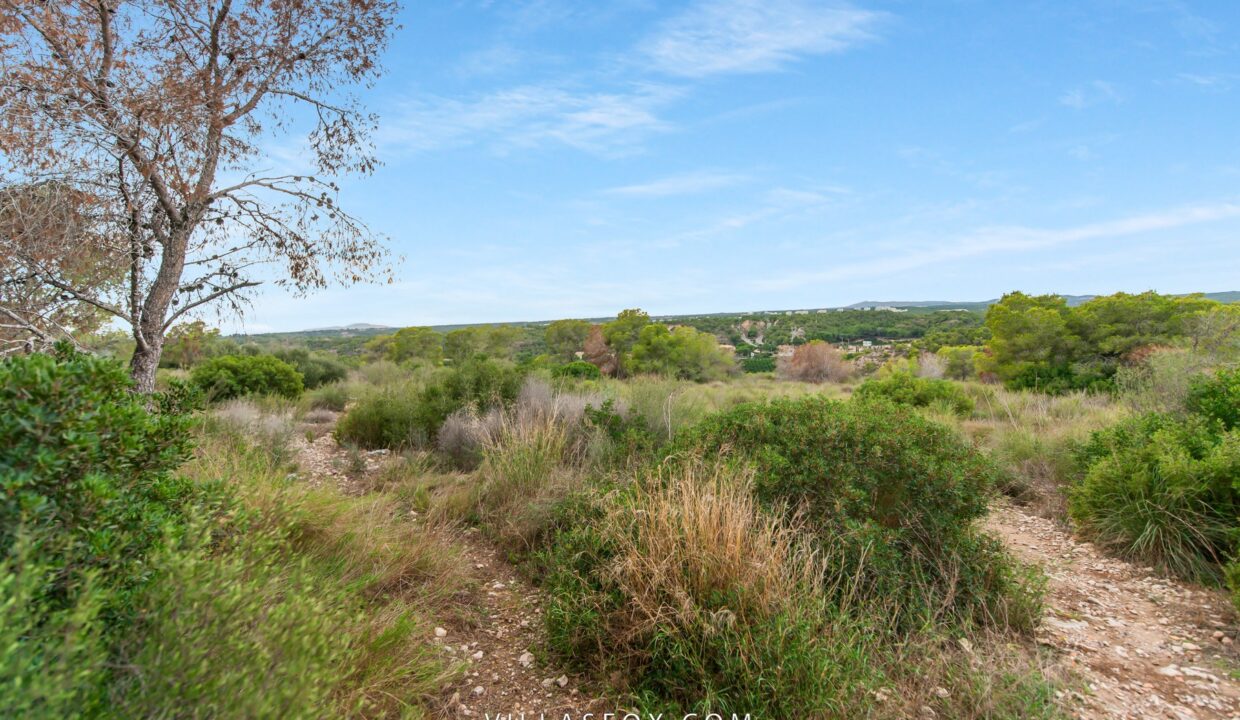 DSC03975-2618288cfe5da0