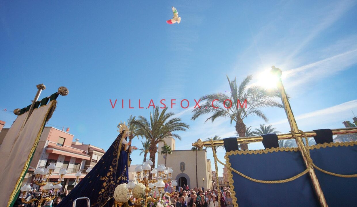 DSC04076aaa_dove_san_miguel_de_salinas_1800_Copy_5ec40040e9fd7