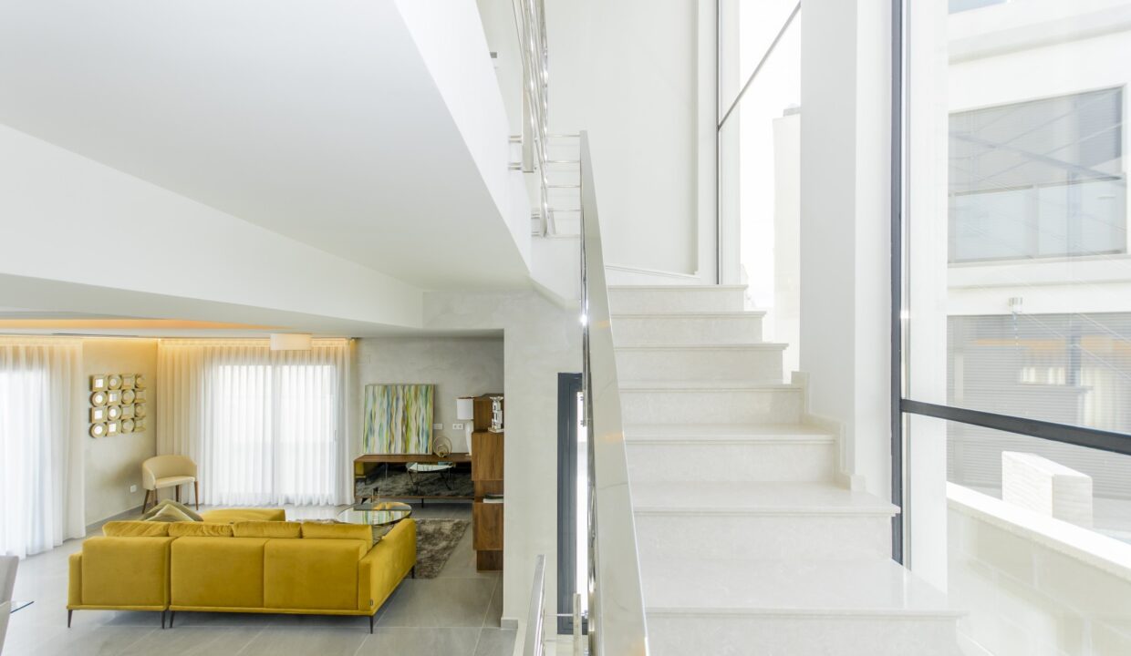 _DSC19166044fe686b65a