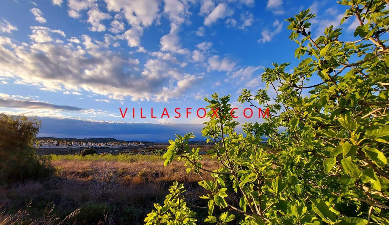 San_Miguel_de_Salinas_villas_for_sale_162230469_10159129989512480_6754813038100308831_n614702926fe26