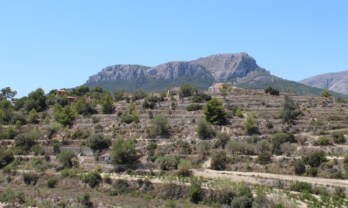benimo-villas-propiedades_5b642e897350c-source