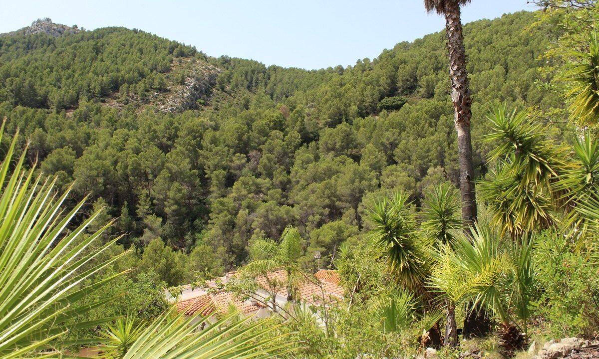 benimo-villas-propiedades_5d2dabdf90151-source