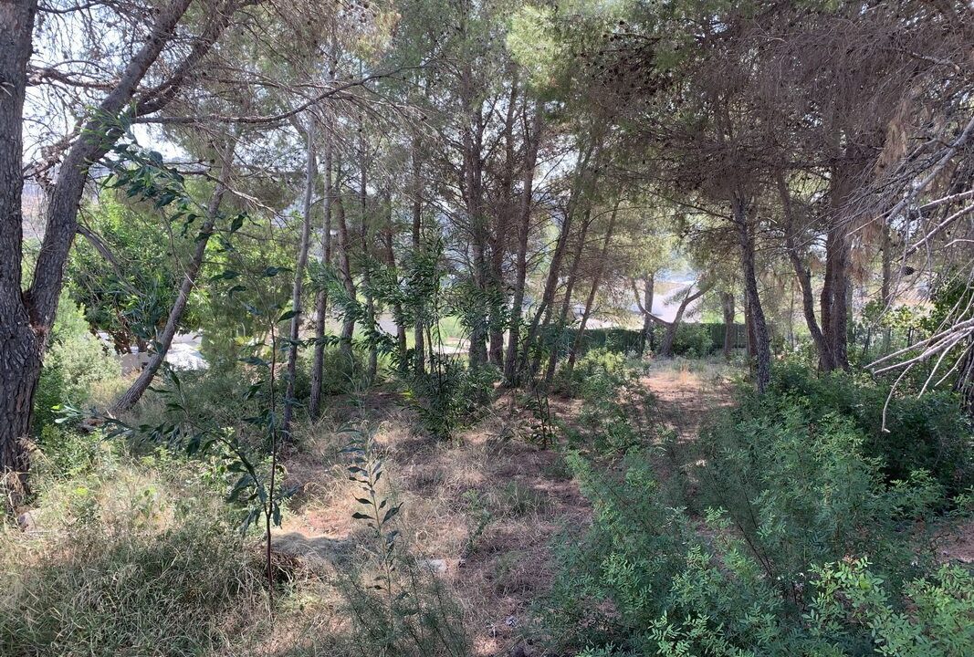 benimo-villas-propiedades_5f806a30de5fe-source