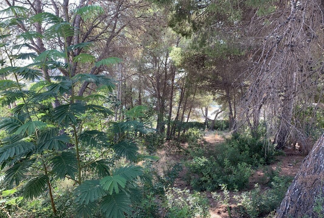 benimo-villas-propiedades_5f806a31361fc-source