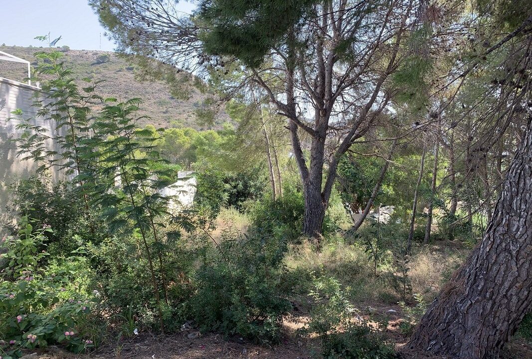 benimo-villas-propiedades_5f806a3168668-source