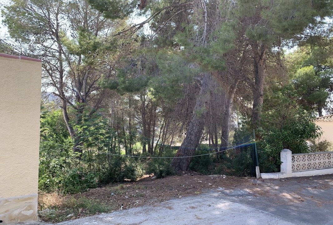 benimo-villas-propiedades_5f806a319c67d-source