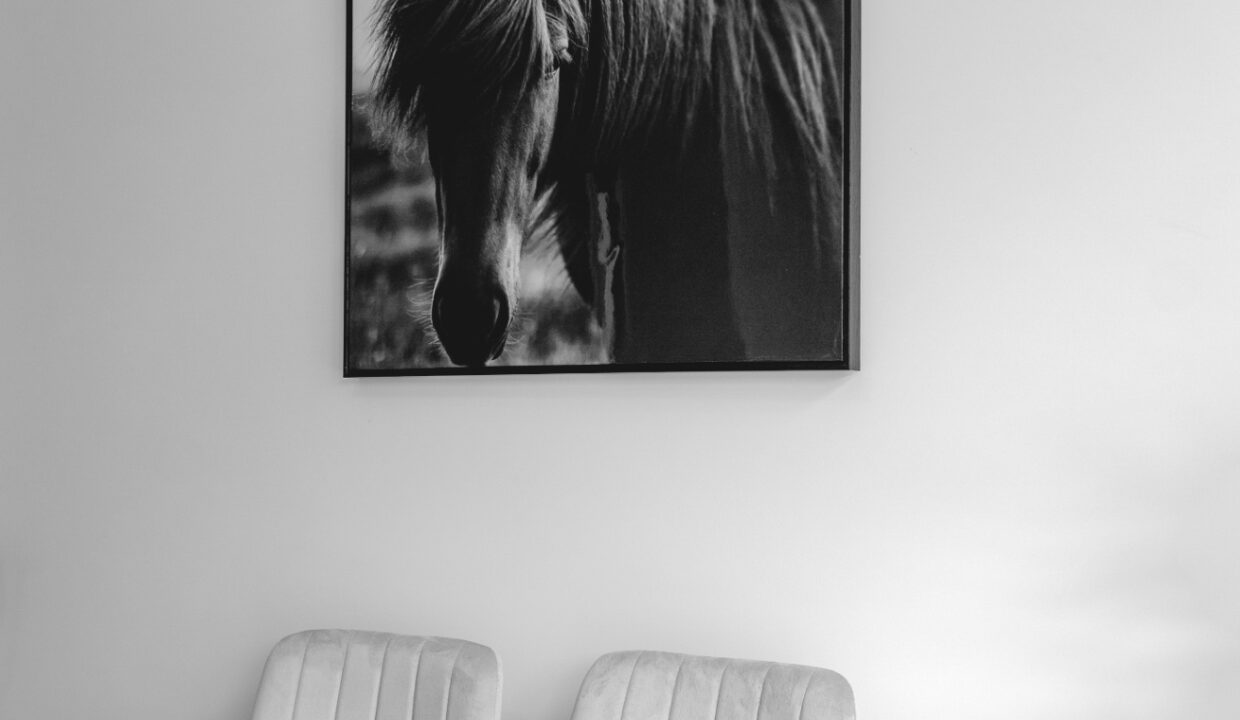 _DSC9712