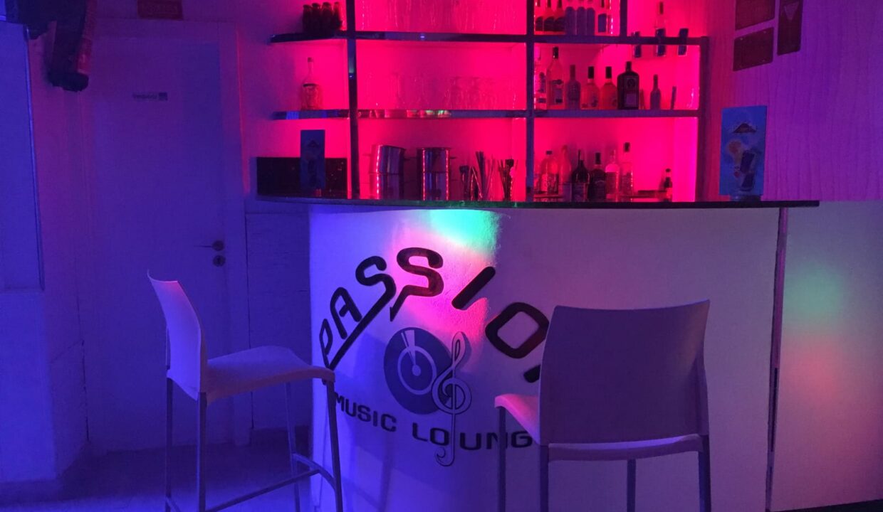 passon fotos (6)
