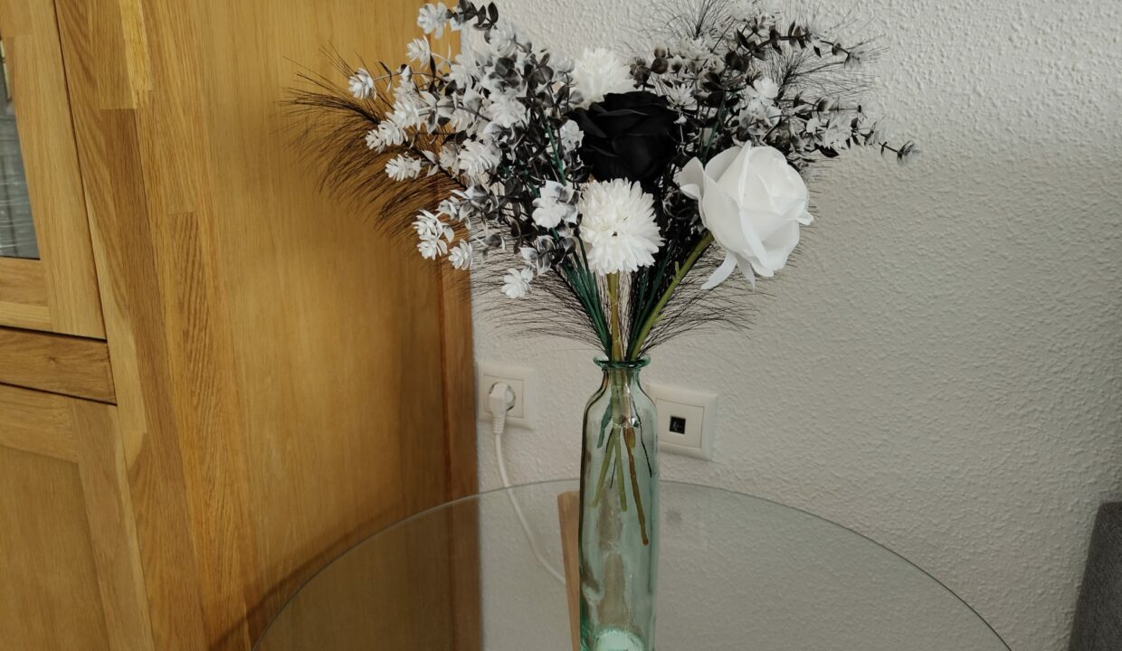 IMG-20250925-WA0011