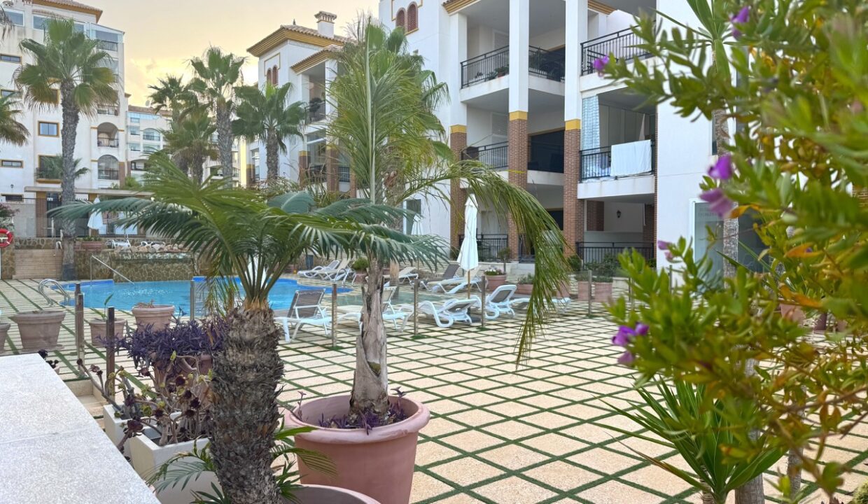 37 en tamaño grande