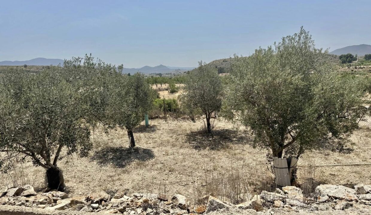 614145187_1429132729001499_1626417235691301750_n