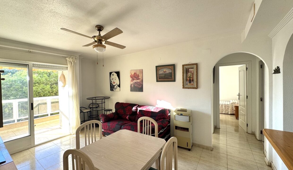 IMG_2596 en tamaño grande