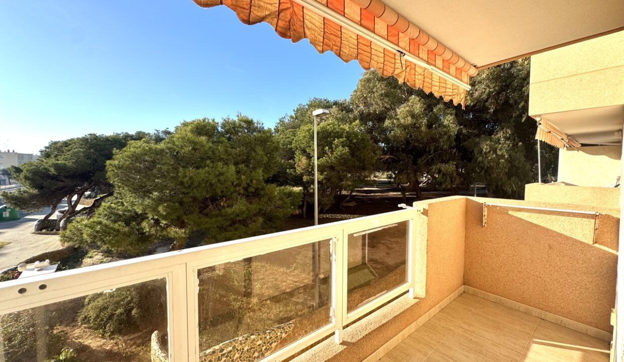 IMG_2614 en tamaño grande